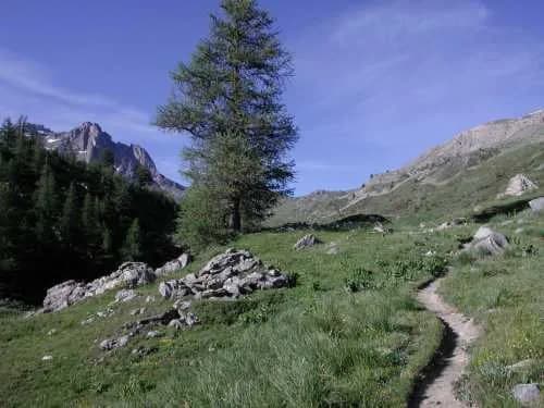 Grand Area (2,869 m) — photo 4