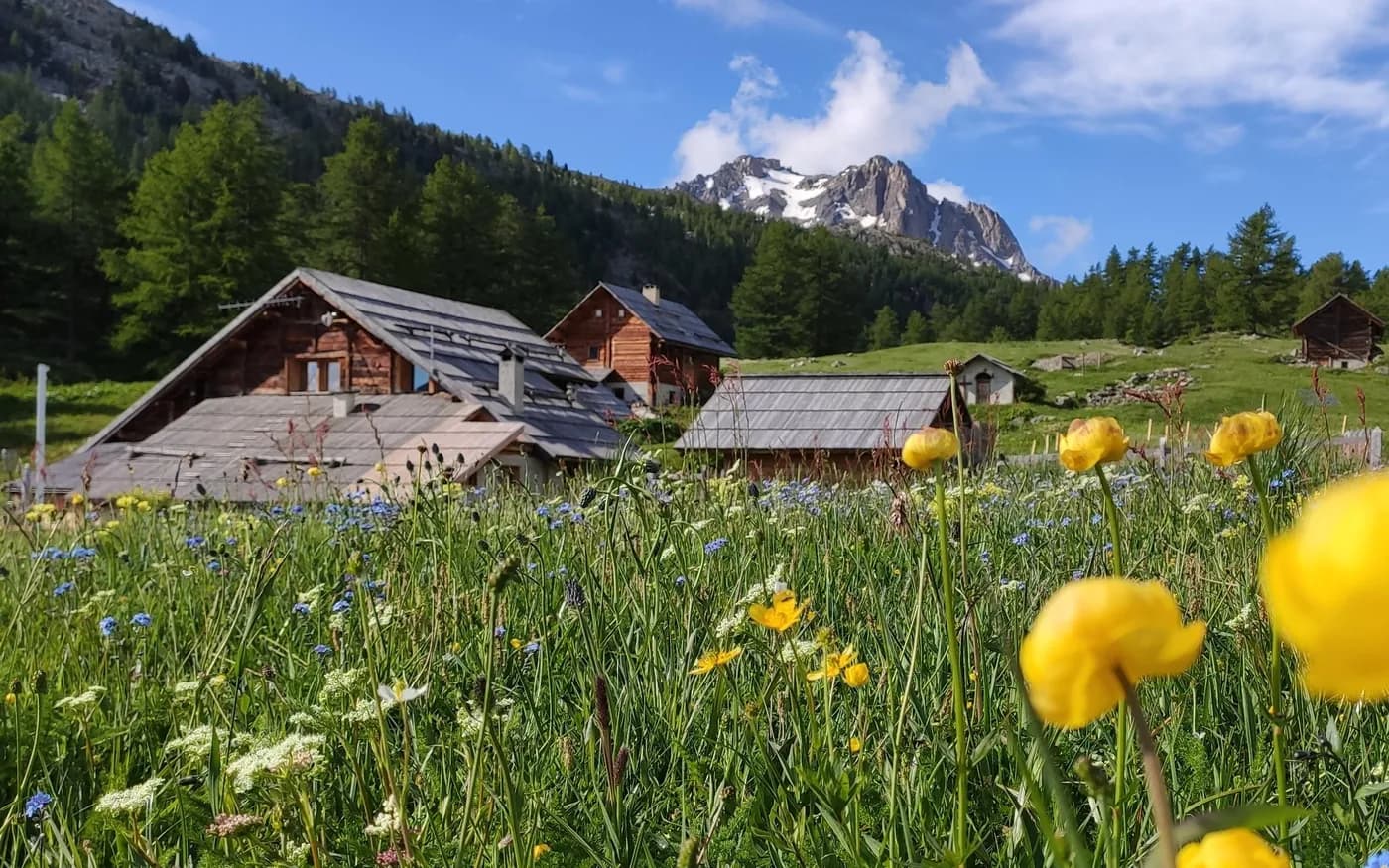 5 days (4 nights): Tour around Mont Thabor starting from Valmeinier — photo 5