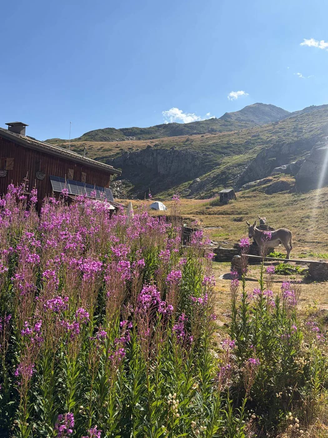 Refuge des Marches, photo 3 sur 20